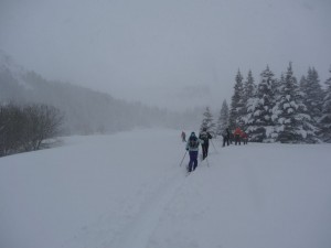 Iceland - Sprengisandur route - Akureyri back country 1 RS